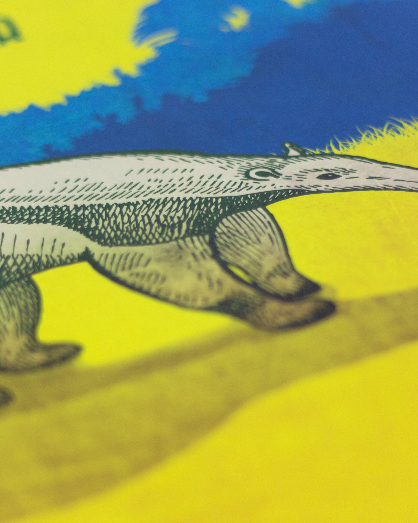 Makro-Aufnahme eines illustrierten Posters mit einem Ameisenbär