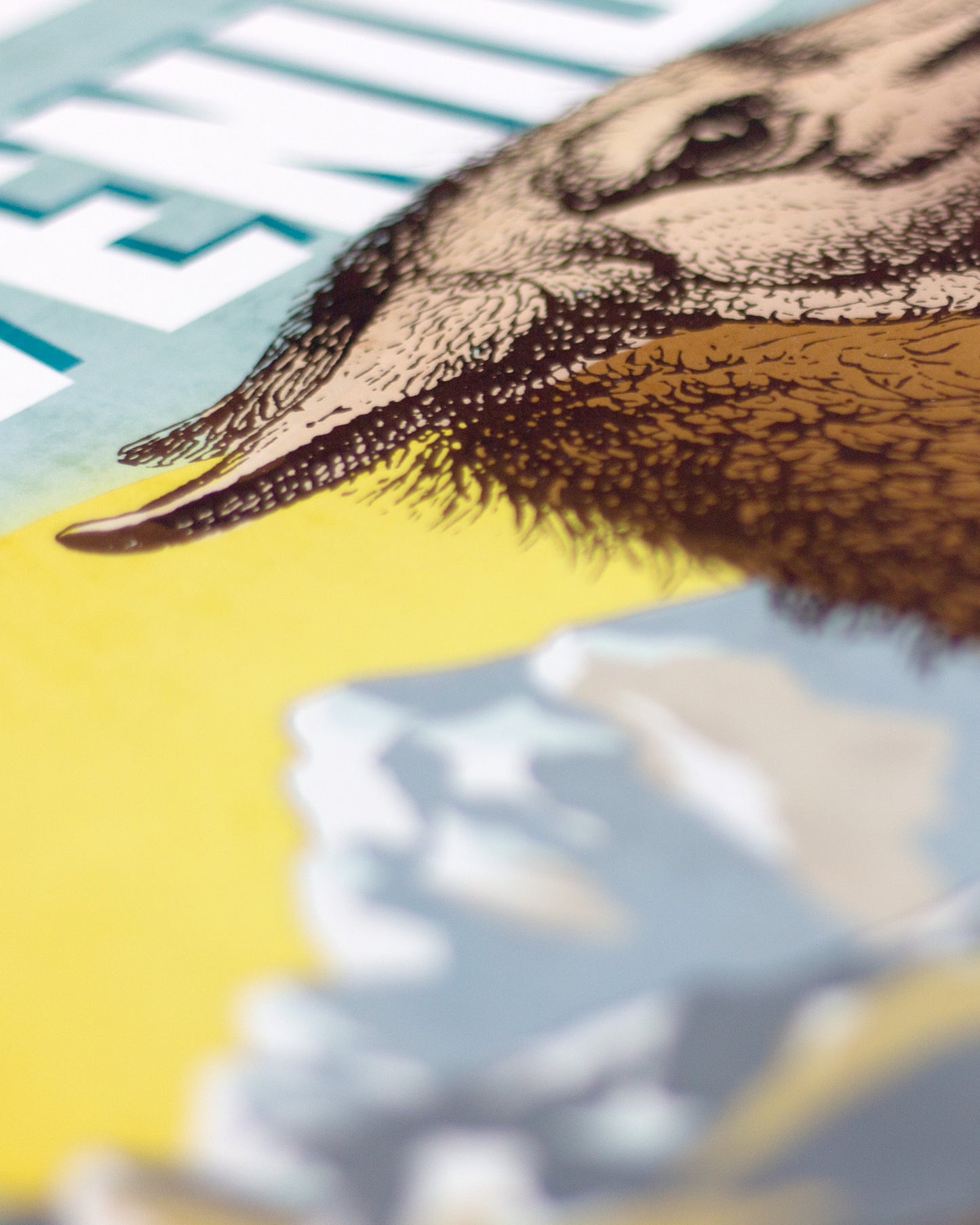 Makro-Aufnahme eines illustrierten Posters mit einem Lama